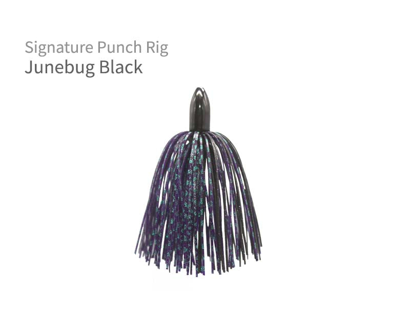 Signature Punch Rig